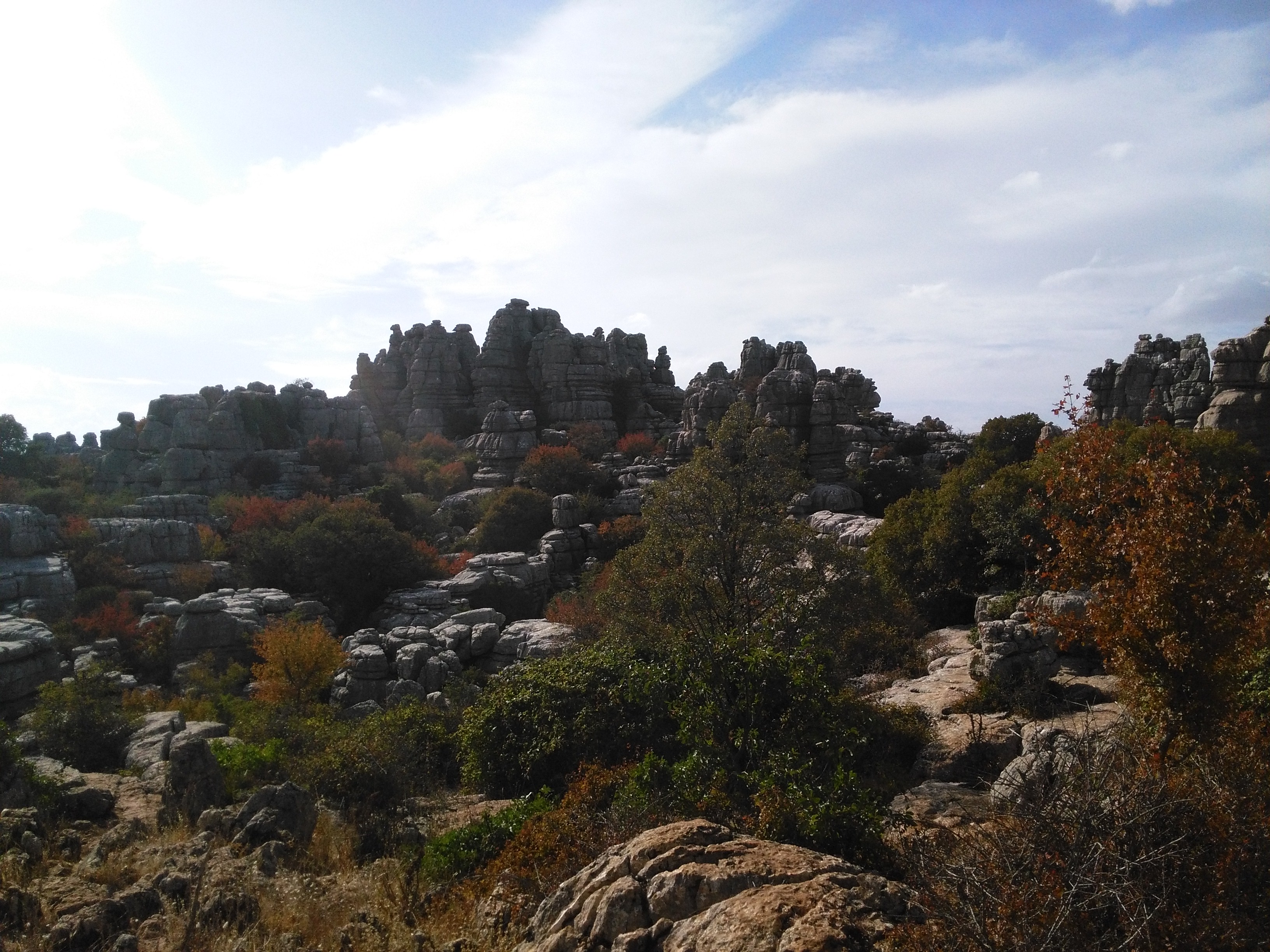 Alcazaba y Colegiata