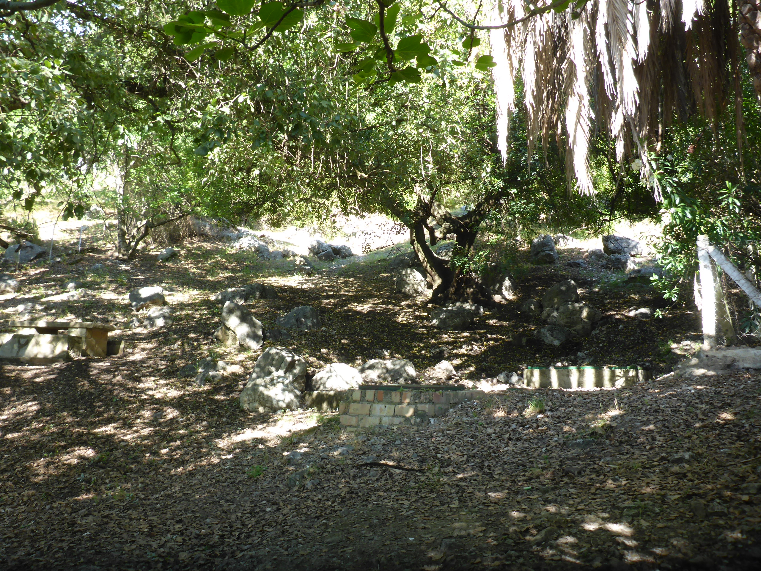Sendero del río Majaceite